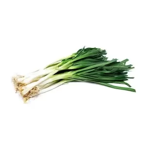 fresh-green-garlic-500x500 (1)