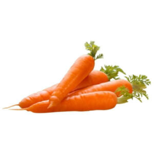 carrot-orange-image