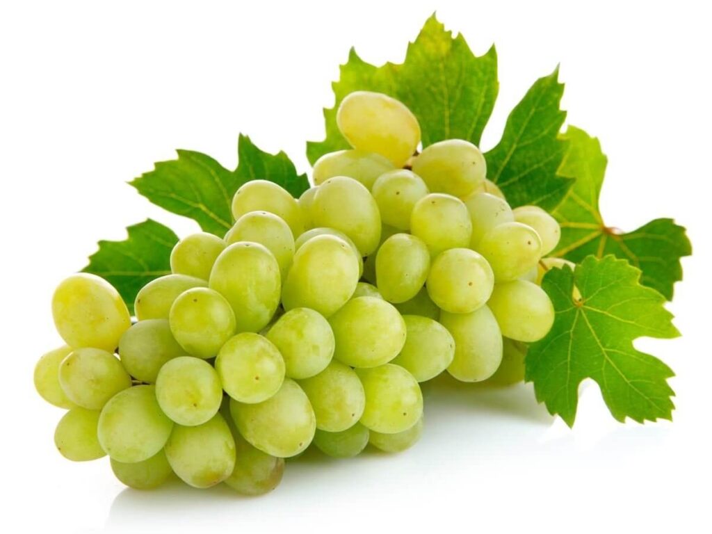 Grapes-nutrition-facts